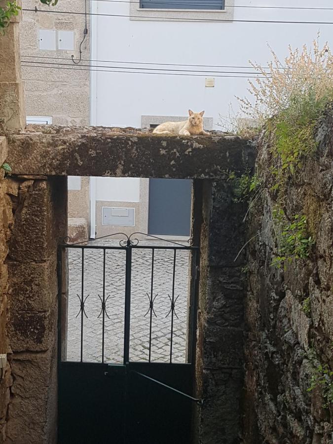 Casa Da Vila Penamacor Luaran gambar